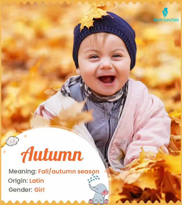 Autumn Meaning, Origin, History, And Popularity | MomJunction