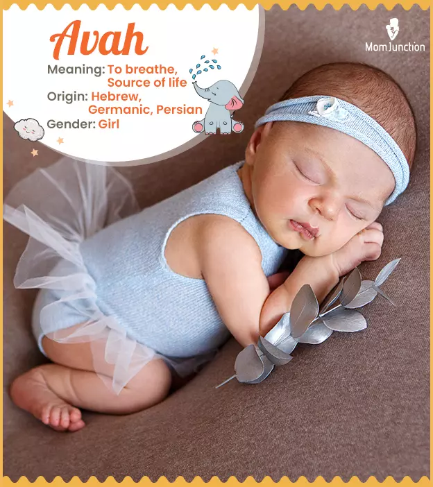 Avah Name Meaning, Origin, History, And Popularity_image