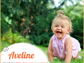 Aveline, the desired one