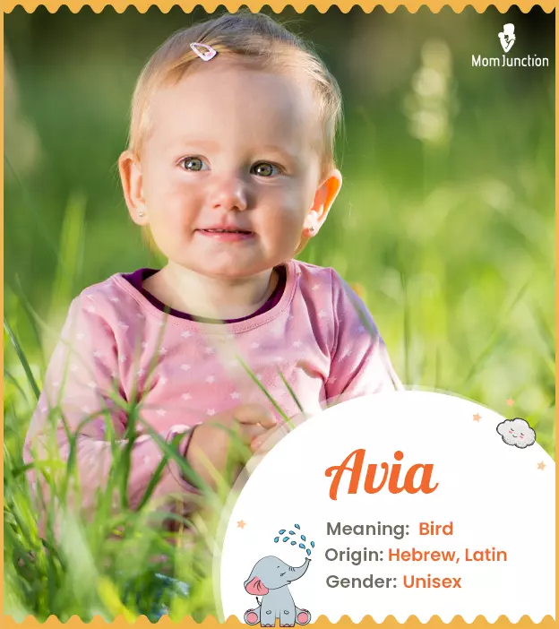 Avia Baby Name: Meaning, Origin, Popularity | MomJunction