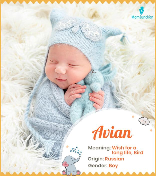 avian: Name Meaning, Origin, History, And Popularity_image