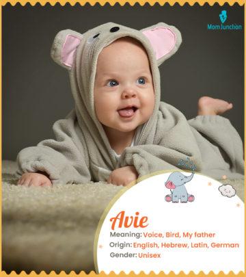 Avie Baby Name: Meaning, Origin, Popularity_image