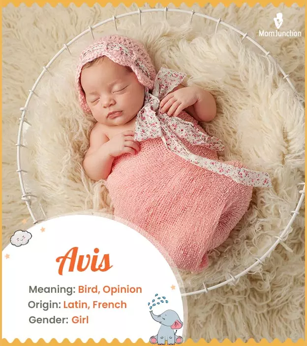 Avis Baby Name: Meaning, Origin, Popularity_image