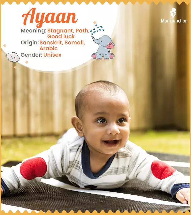 Ayaan Name Meaning, Origin, History, And Popularity_image