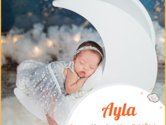 Ayla signifies light and strength
