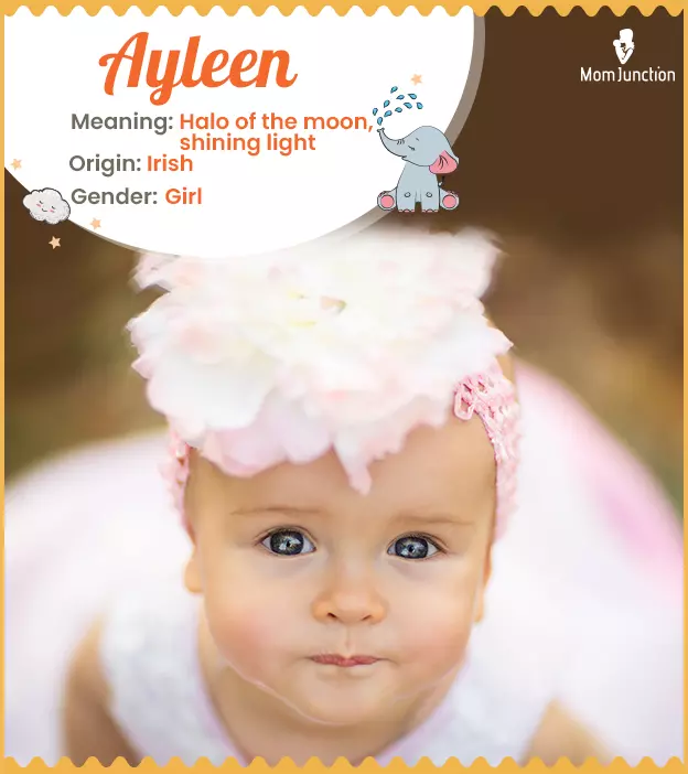 Ayleen Name Meaning, Origin, History, And Popularity_image