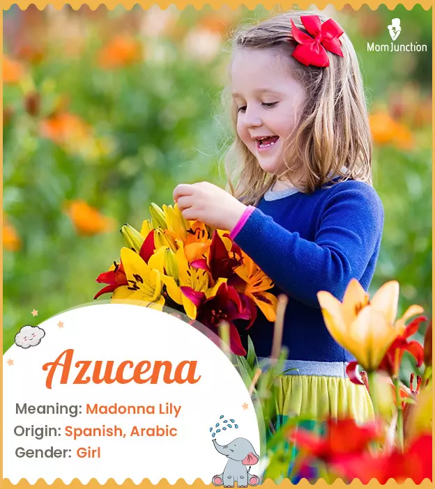 Azucena Name Meaning, Origin, History, And Popularity ...