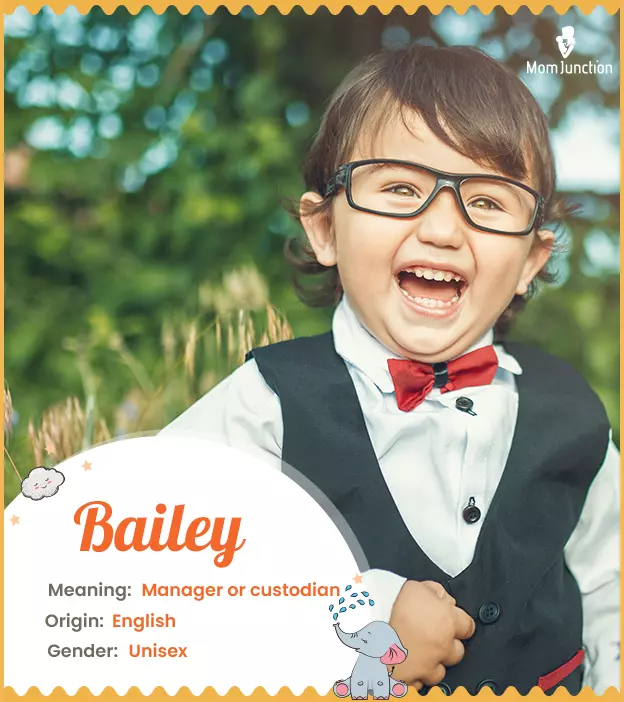 bailey: Name Meaning, Origin, History, And Popularity_image