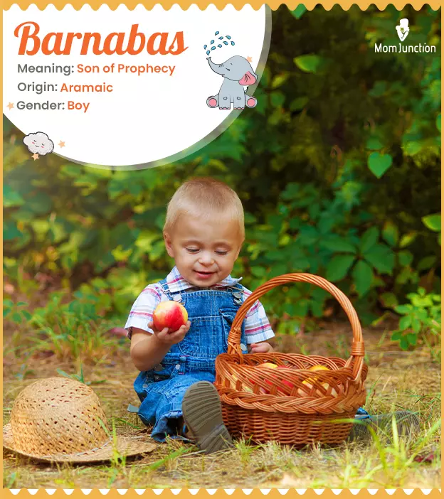 Barnabas: Name Meaning, Origin, History, And Popularity ...