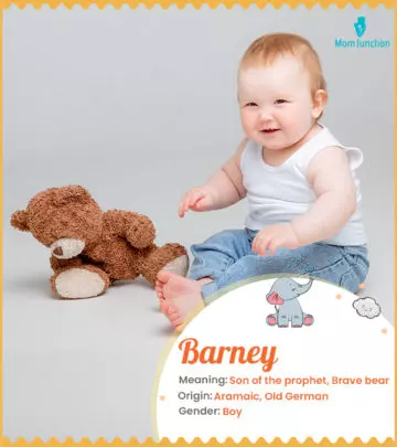 Origin, Meaning & Other Facts About Baby Name Barney ...