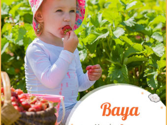 Baya means berry in Spanish.