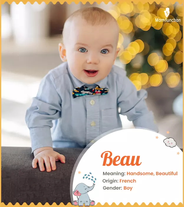 Beau: Name Meaning, Origin, History, and Popularity | MomJunction