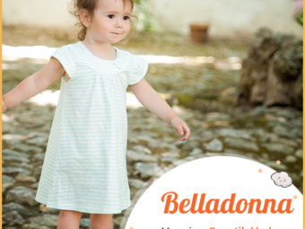 Belladonna means beautiful lady