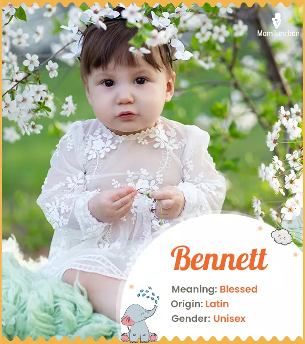 Bennett Name Meaning, Origin, History, And Popularity_image