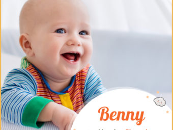 Benny, a diminutive name for boys with rich fictional presence.