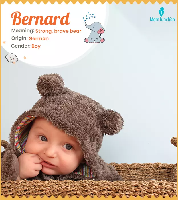 Bernard: Name Meaning, Origin, History, And Popularity ...