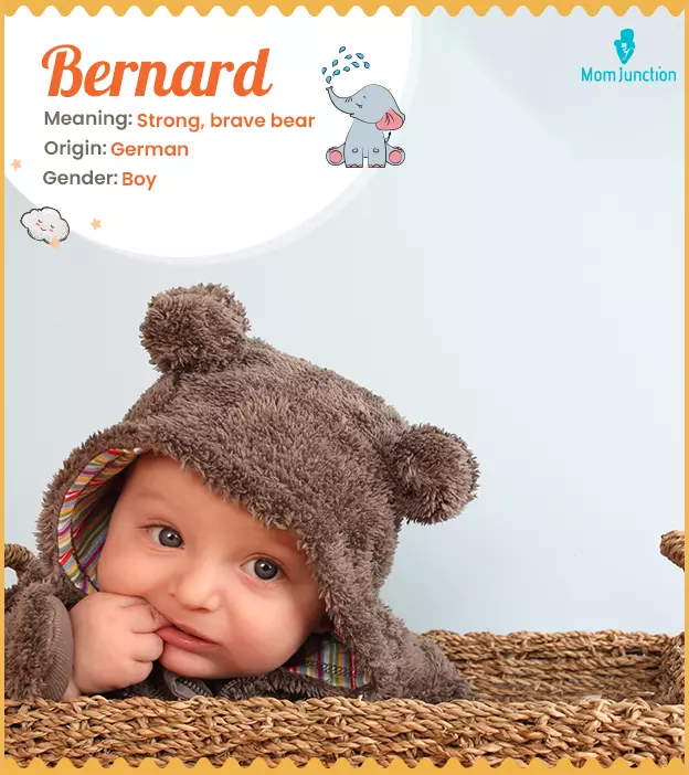 Bernard: Name Meaning, Origin, History, And Popularity_image