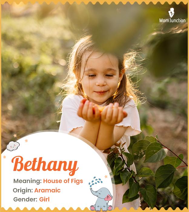 Bethany Name Meaning, Origin, History, And Popularity_image