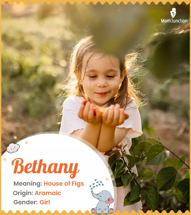 Bethany: Name Meaning, Origin, History, And Popularity ...