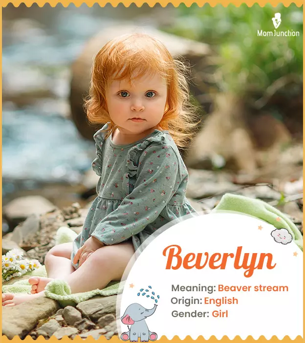 Origin, Meaning & Other Facts About Baby Name Beverlyn ...
