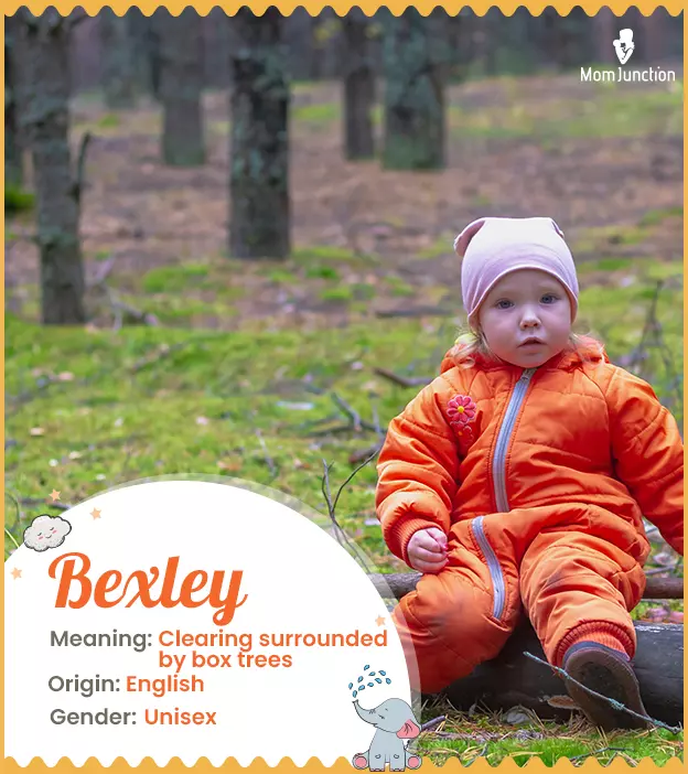 Origin, Meaning & Other Facts About Baby Name Bexley ...