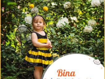 Bina, name of nature and wisdom