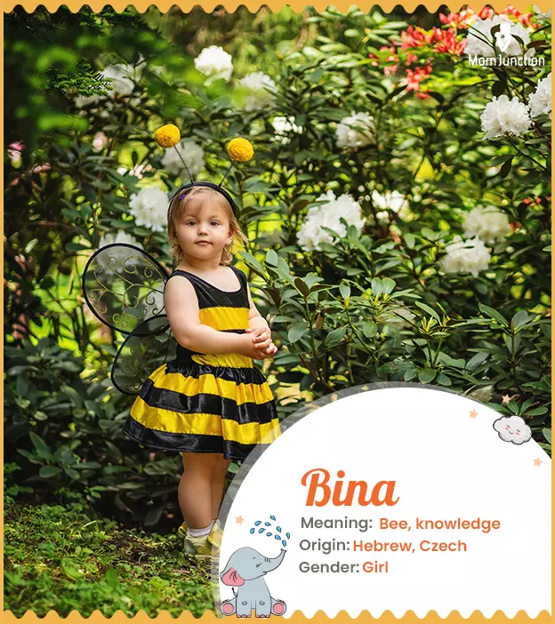 Bina, name of nature