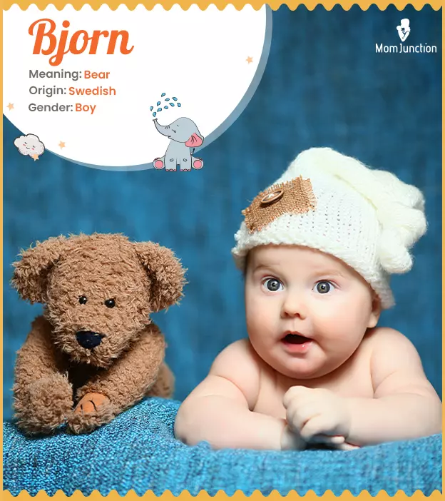 Bjorn: Name Meaning, Origin, History, And Popularity | MomJunction