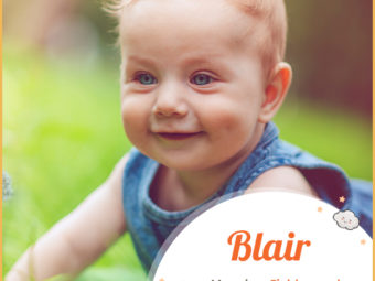 Blair means clear land