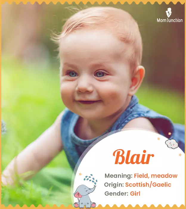 Blair: Name Meaning, Origin, History, And Popularity_image