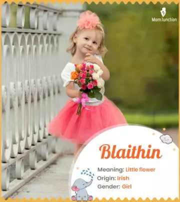 Origin, Meaning & Other Facts About Baby Name Blaithin ...