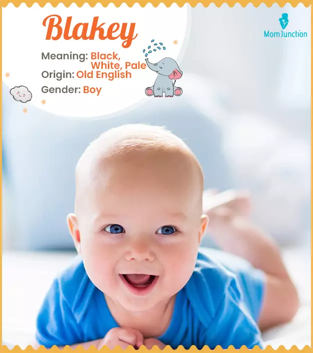 blakely: Name Meaning, Origin, History, And Popularity | MomJunction