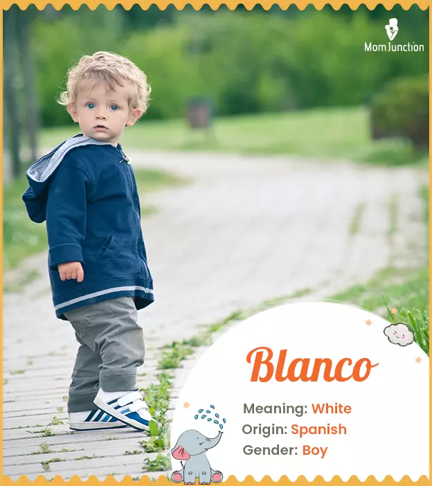 Blanco Name Meaning, Origin, History, And Popularity_image