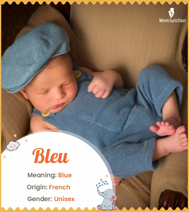 Origin, Meaning & Other Facts About Baby Name Bleu_image