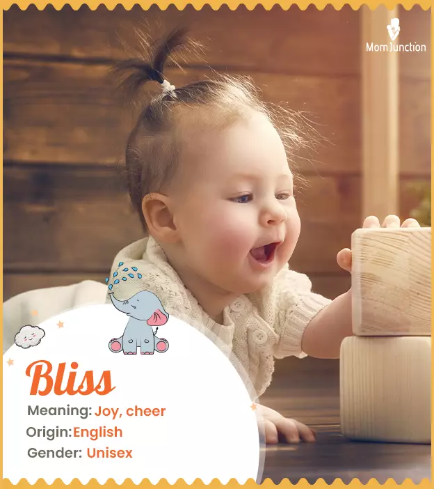 Bliss Name, Meaning, Origin, History, And Popularity | MomJunction