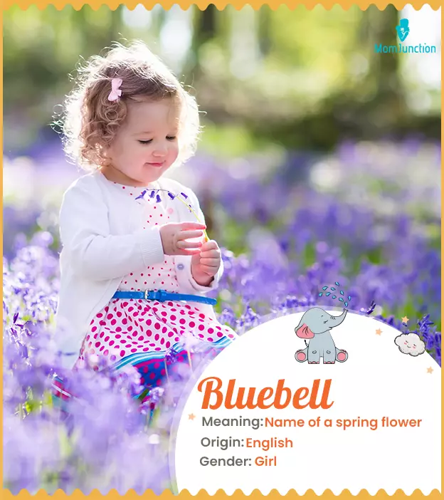 bluebell: Name Meaning, Origin, History, And Popularity ...