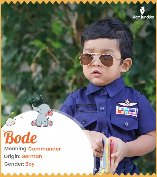 Bode: Name Meaning, Origin, History, And Popularity | MomJunction