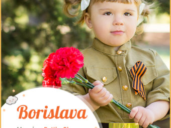 Borislava, meaning battle
