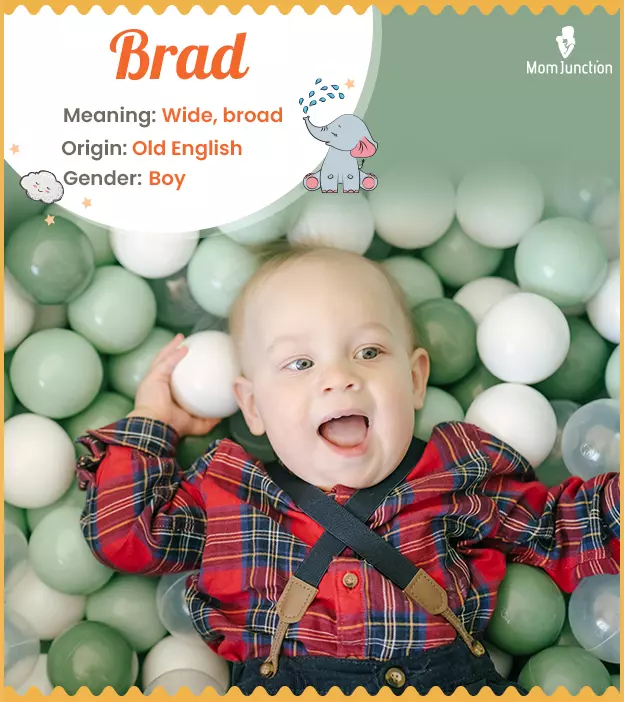 Brad Name, Meaning, Origin, History, And Popularity | MomJunction