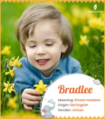 Origin, Meaning & Other Facts About Baby Name Bradlee_image