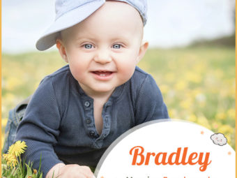 Bradley signifies a broad meadow
