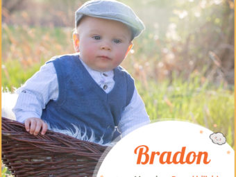 Bradon, a masculine name