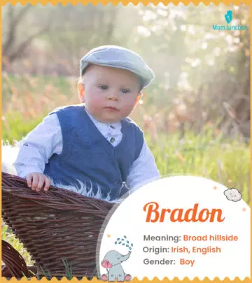 Origin, Meaning & Other Facts About Baby Name Bradon ...