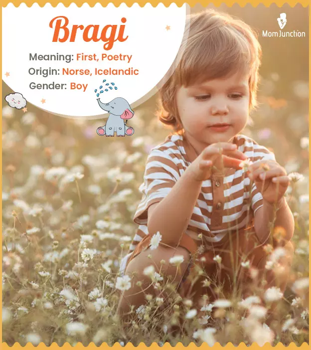 Bragi Name, Meaning, Origin, History, And Popularity_image