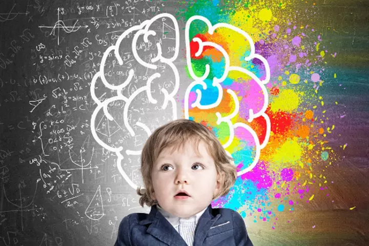 Brain Development Plays A Huge Role