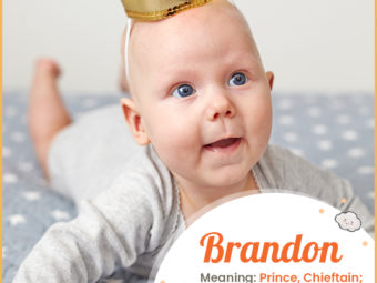 Brandon means a prince
