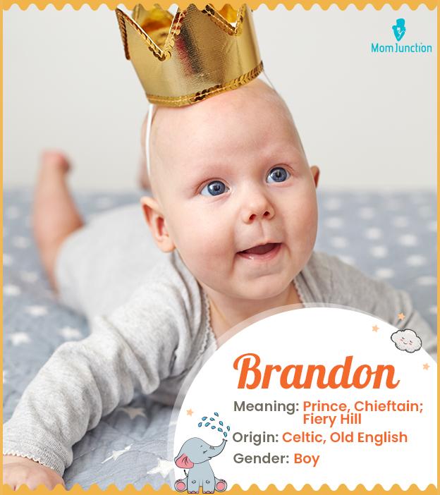 10 Brandon ideas  brandon, brandon name, names with meaning