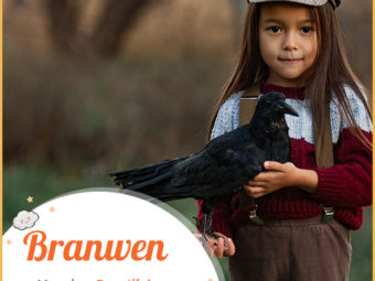 Branwen meaning a beautiful raven