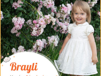 Brayli meaning woodland.