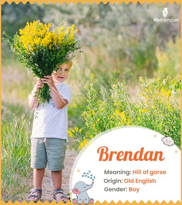 Brendan: Name Meaning, Origin, History, And Popularity_image